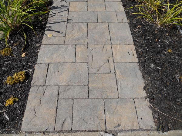 Stamped Concrete Staining in Costa Mesa